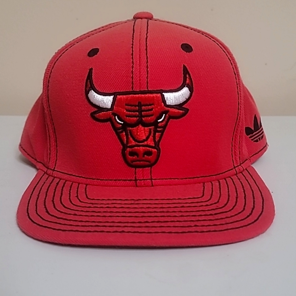 Chicago bulls snap back